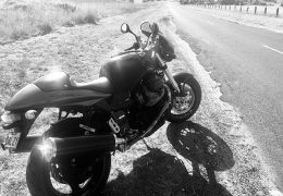 Why didn’t anyone tell me the V11 Scura was such a complete motorcycle. Just did my first ever day ride over 250kms of local back roads. Very impressed